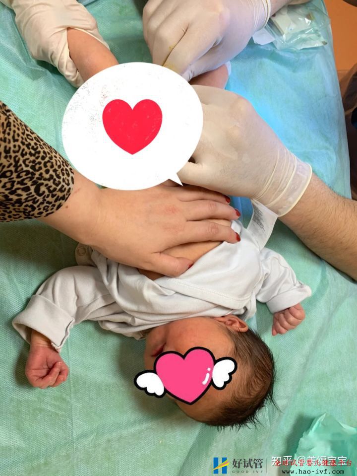 一分钟教你读懂,试管婴儿全流程(图2) 一分钟教你读懂,试管婴儿全流程(图2)