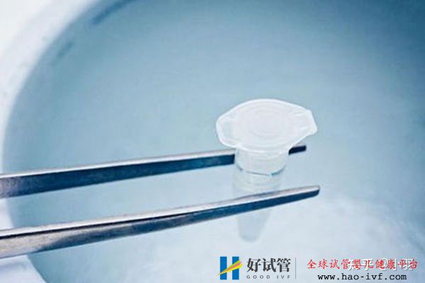 一文带你了解试管婴儿整个流程个各个环节时间节点的...(图5)
