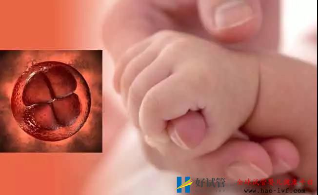 试管婴儿移植要成功,得最少满足3个条件!(图1) 试管婴儿移植要成功,得最少满足3个条件!(图1)