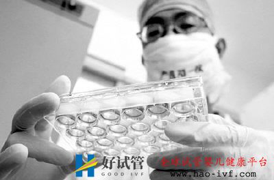 广州今年试管婴儿激增五成(图1)
