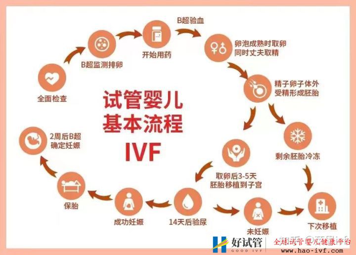 试管婴儿详细全流程(图1) 试管婴儿详细全流程(图1)