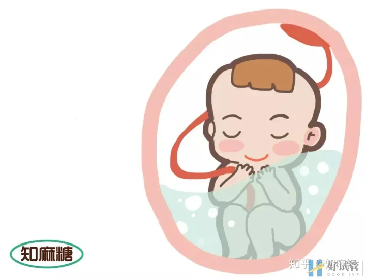 试管婴儿是爸妈亲生的吗?(什么是“试管婴儿”?)越早知道越好(图2) 试管婴儿是爸妈亲生的吗?(什么是“试管婴儿”?)越早知道越好(图2)