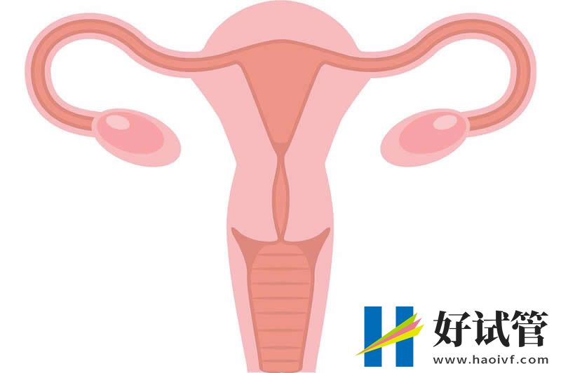 试管婴儿移植前吃辅酶q10和维E的功效盘点,能帮助着床别不知(图2) sg (17).jpg