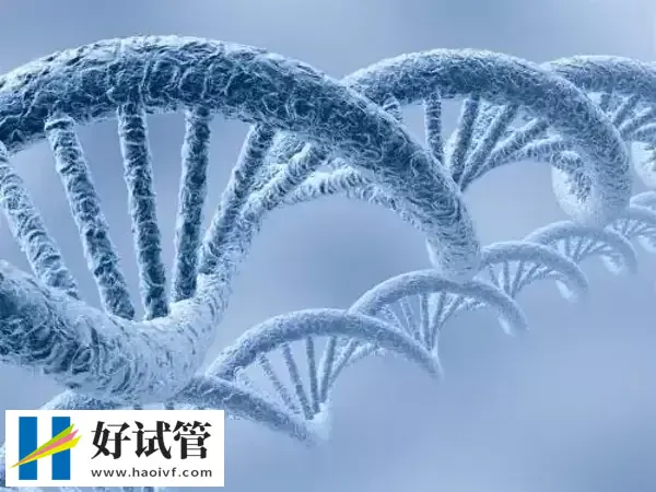 银川第三代试管成功率高不高(图1) 银川三代试管成功率达60%