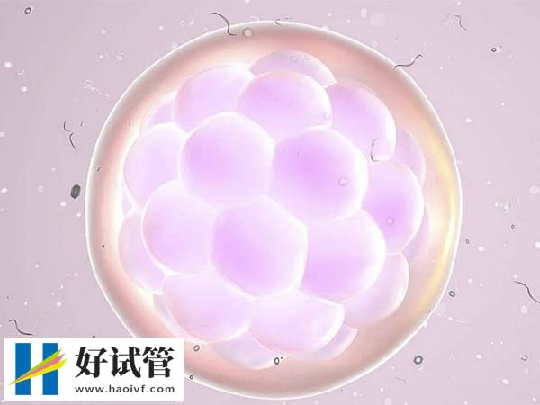 36岁在菏泽市中医医院做试管婴儿一次成功(图2) 新鲜周期移植后未孕