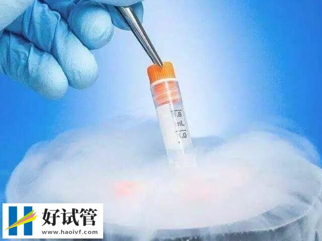 试管冻卵对卵子有什么影响(图2) 冻卵会损伤染色体及DNA畸形
