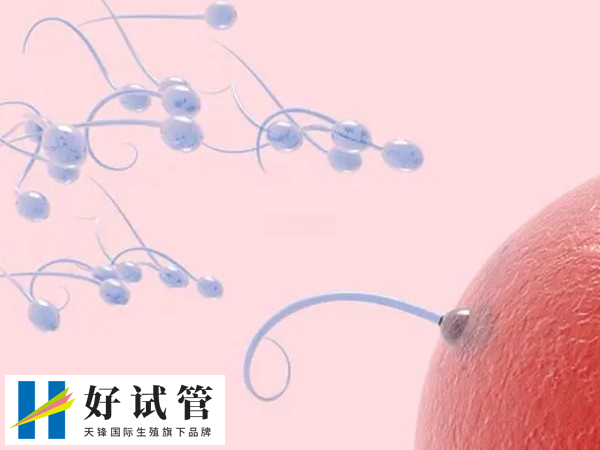 生殖科医生在处理不孕不育比妇产科谨慎