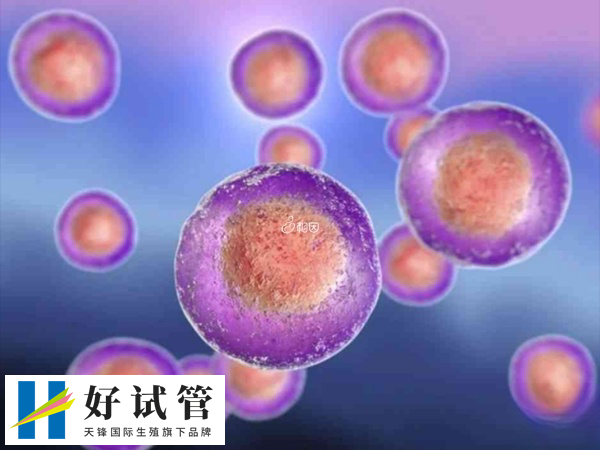 供卵等待时间较长