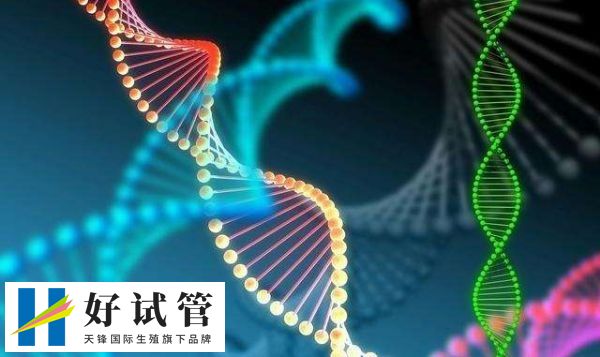 试管婴儿有自己的适应证,包括输卵管病变、排卵障碍、子宫内膜异位症、不明原因不孕、人工授精失败等等。试管婴儿是治疗不孕不育的一种辅助生殖助孕技术,众多遭遇生育困难的夫妇都通过这项技术生育了自己的宝宝。但是此技术有其严格的医学指征,所以并非患上不孕不育就可以做的。 试管婴儿的适应人群 哪些人群能做试管婴儿 试管婴儿是指将卵母细胞与精子在体外培养系统中自然受精并发育成胚胎,然后将胚胎植入子宫腔内达到(图1) 长时间使用手机对男性危害大,会影响男性生殖健康吗?(图1)