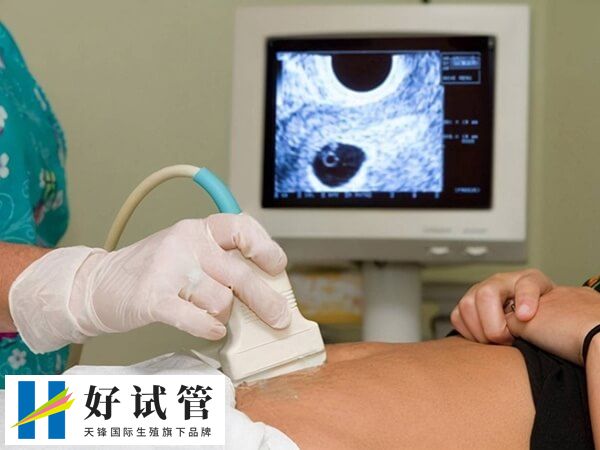 子宫内膜薄移植胚胎成功率约20%到30%