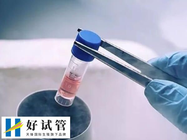 第二次冻胚移植要注意什么(图1) 冻胚移植失败要先查明原因