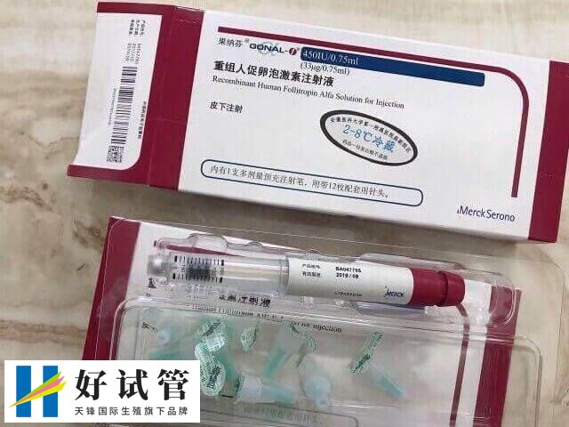贺美奇跟果纳芬能一起用