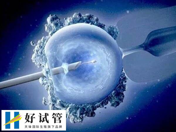 胚胎移植后拉肚子可能是药物作用