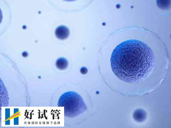 试管促排卵是一种辅助生殖技术