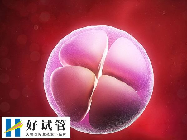 试管移植后宫外孕的可能性可达到5-8%