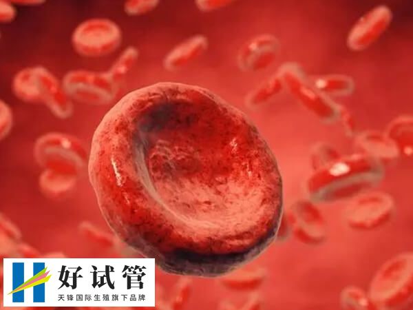 醛固酮过多是导致心肌肥厚的重要危险因素