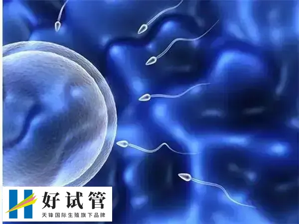 染色体多态无需特殊治疗