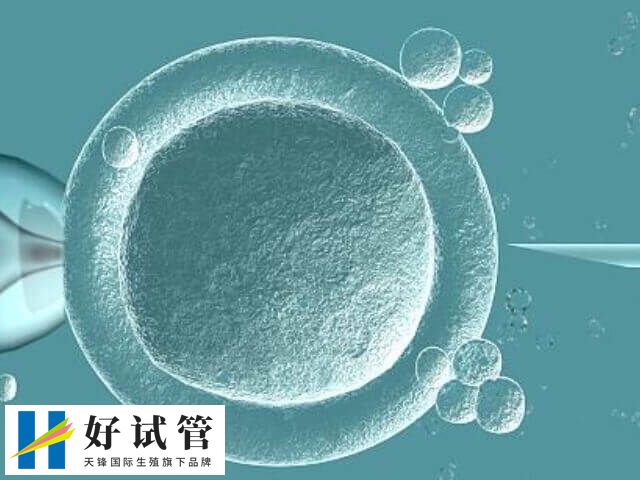 5ca囊胚的质量较差