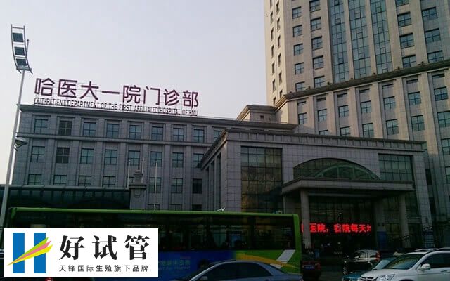 哈医大一院试管婴儿费用多少(图1) 哈尔滨医科大学附属第一医院
