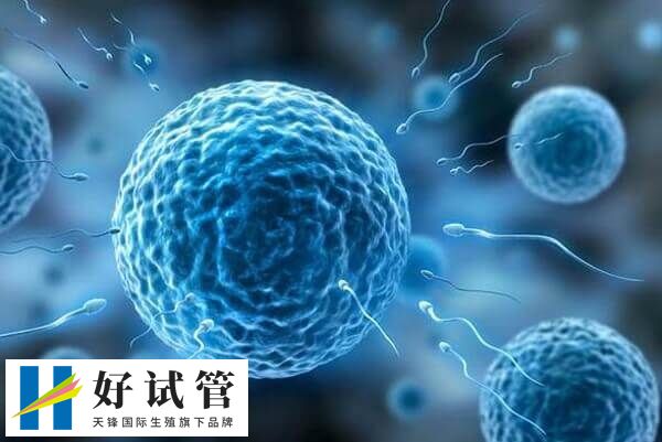 徐州市中医院试管费用