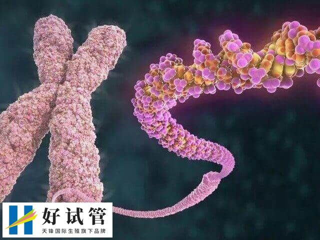 多发性骨软骨瘤具有遗传性的