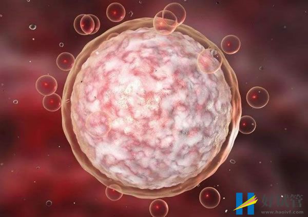 上海试管婴儿医院，附成功率、费用(图11)